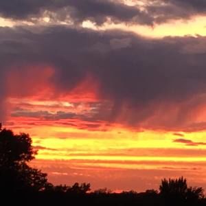 Meet your Posher, Pat